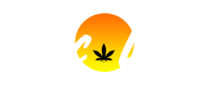 Rec Life® Logo White